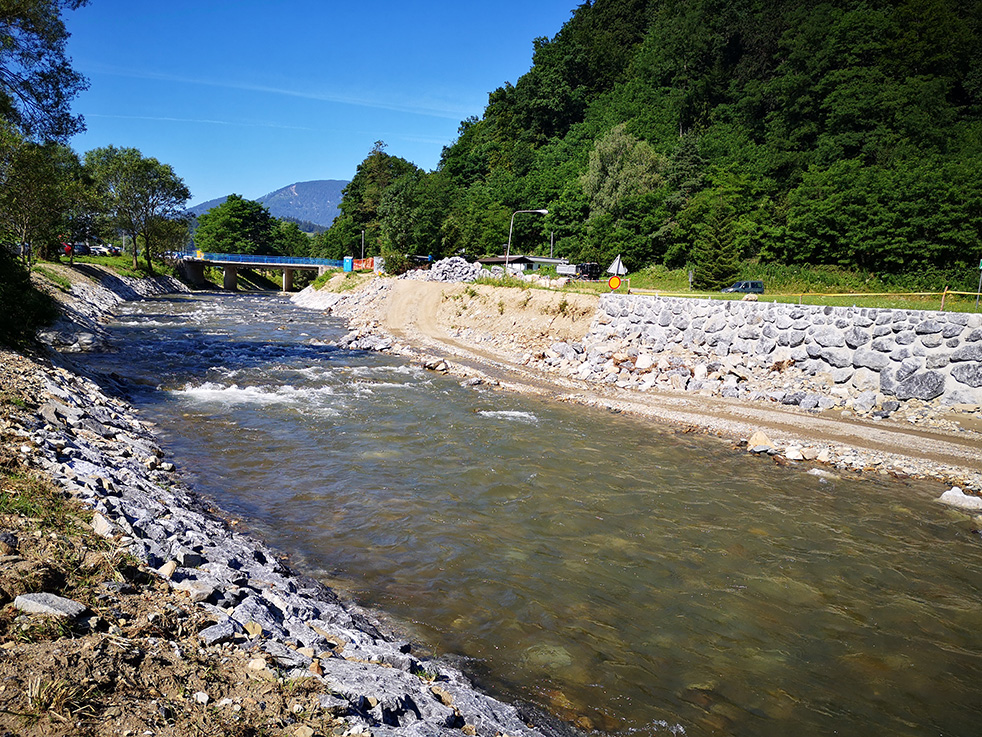 Pameče v času gradnje (Petra Kralj)