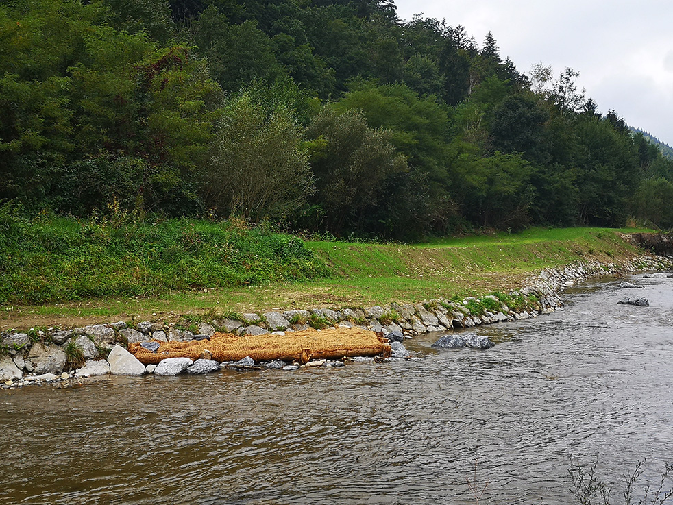 Lesene jezbice (Petra Kralj)