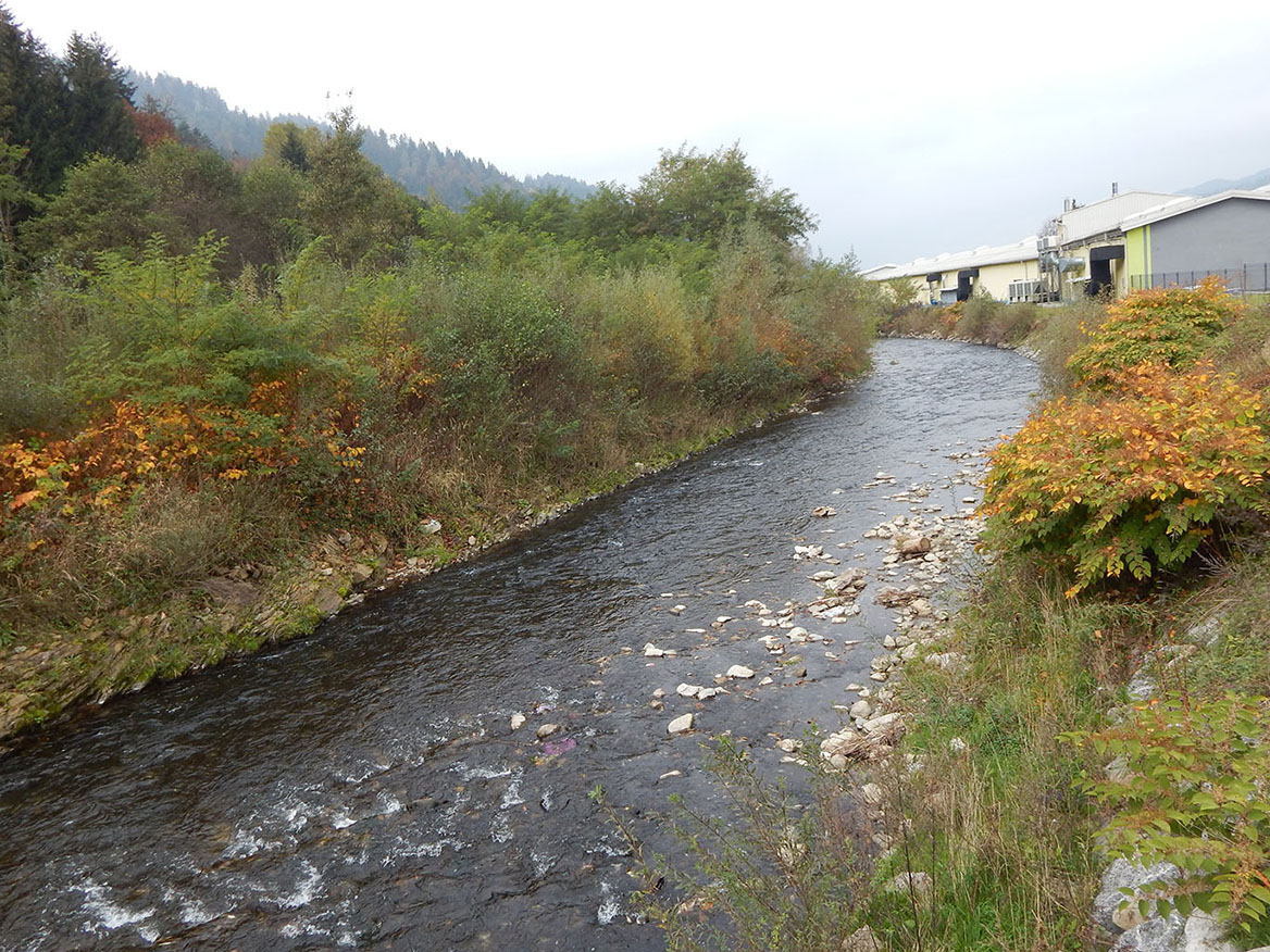 Slika 3: Pameče - območje ob industrijskih obratih
