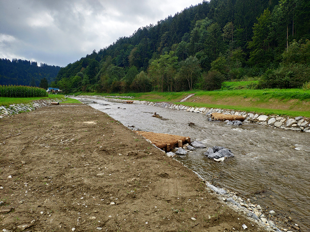 Pogled v smeri gorvodno na širitev struge z dvojnim profilom in na lesene jezbice (Blanka Grajfoner)