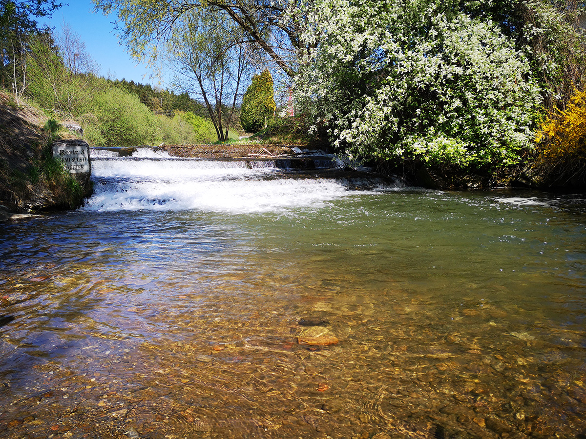 Obstoječi jez na Mislinji v Slovenj Gradcu, ki ga bo potrebno rekonstruirati. (Foto: Petra Kralj, DRSV) Slika 3: Obstoječi jez na Mislinji v Slovenj Gradcu, ki ga bo potrebno rekonstruirati.