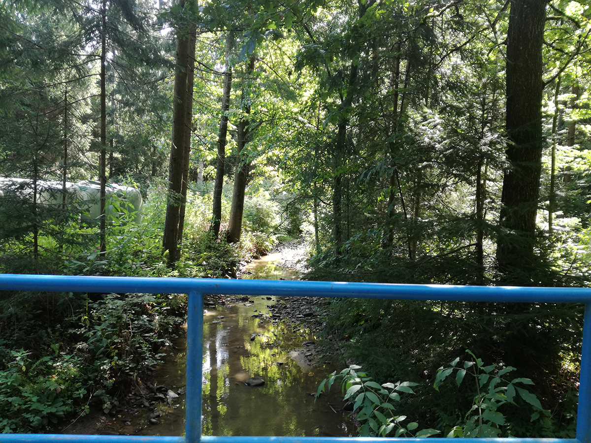 Potok Homšnica na lokaciji predvidenega suhega zadrževalnika visokih voda Homšnica. (Foto: Petra Kralj, DRSV) Slika 4: Potok Homšnica na lokaciji predvidenega suhega zadrževalnika visokih voda Homšnica.