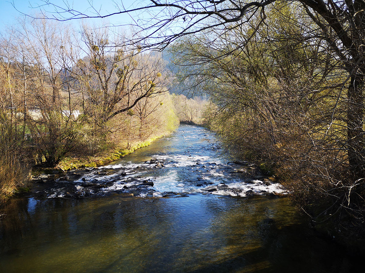 Meža v Otiškem Vrhu – na desni strani vodotoka je predvidena izgradnja visokovodnih nasipov (Petra Kralj Marhold, DRSV, Projektna pisarna Maribor)