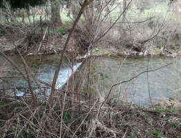 Reka Mislinja Reka Mislinja