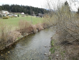 Reka Mislinja Reka Mislinja