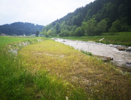 Ureditve Mislinje na območju Pameč Pameče