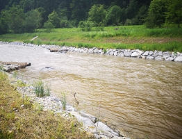 Ureditve Mislinje na območju Pameč Pameče