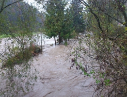 Slika 18: Meža, Poljana, 2012