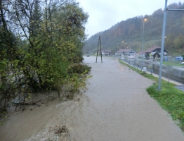 Slika 17: Meža, Poljana, 2012