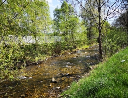 Mislinja v Slovenj Gradcu Reka Mislinja