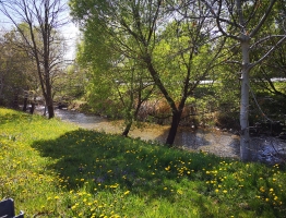 Mislinja v Slovenj Gradcu pri Sparu Reka Mislinja