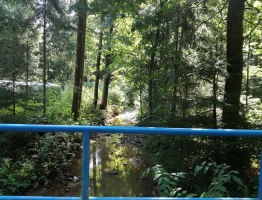 Potok Homšnica na lokaciji predvidenega suhega zadrževalnika visokih voda Homšnica. Potok Homšnica