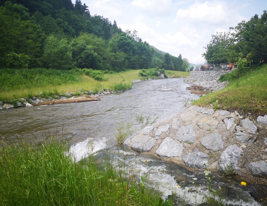 Ureditve Mislinje na območju Pameč Pameče